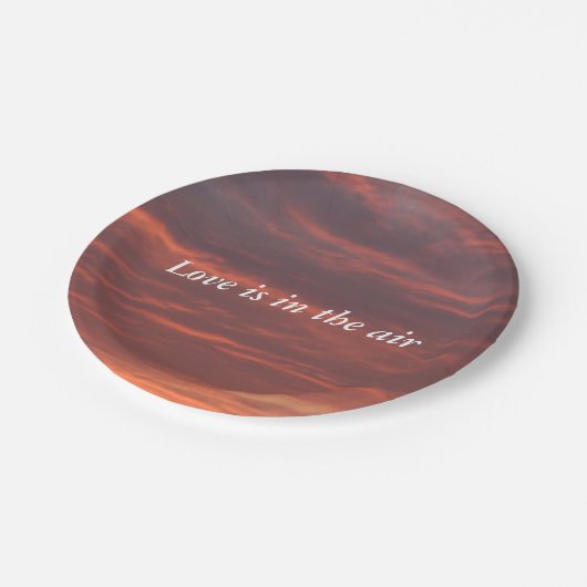 Assiettes En Carton L'amour est dans l'air Custom Paper Plates 7 in (Angle)