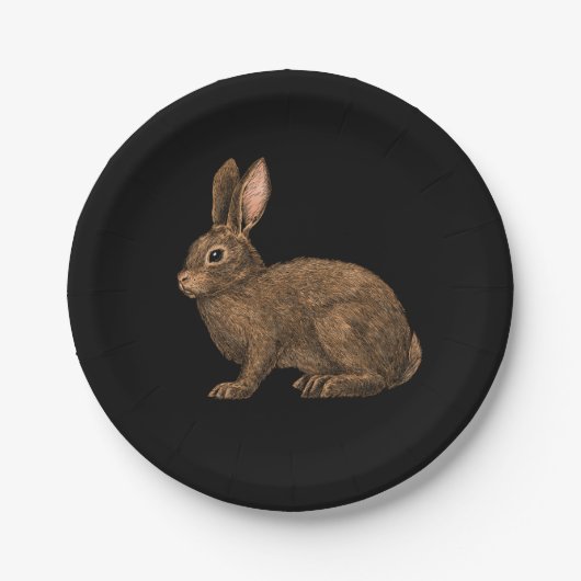 Assiettes En Carton Lapin 2 (Devant)
