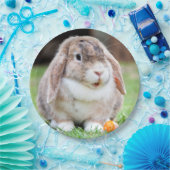 Assiettes En Carton lapin à oreilles de lop mignon (Fête)