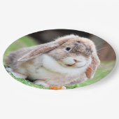 Assiettes En Carton lapin à oreilles de lop mignon (Angle)
