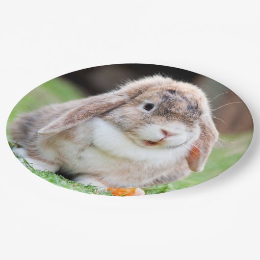 Assiettes En Carton lapin à oreilles de lop mignon (Angle)