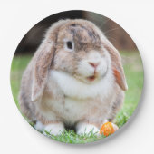 Assiettes En Carton lapin à oreilles de lop mignon (Devant)