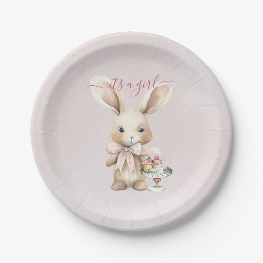 Assiettes En Carton Lapin Baby shower fille (Devant)