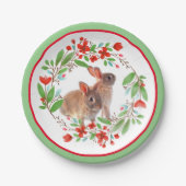 Assiettes En Carton Lapin de printemps / Vacances de Pâques (Devant)