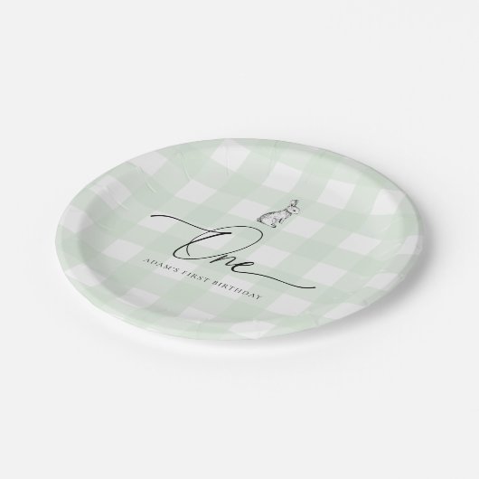 Assiettes En Carton Lapin Lapin En vichy Vert Premier Anniversaire (Angle)