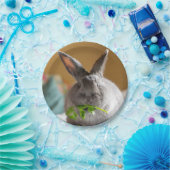 Assiettes En Carton Lapin mignon mangeant les plaques à papier de (Fête)