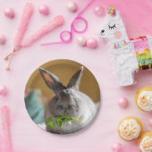 Assiettes En Carton Lapin mignon mangeant les plaques à papier de (Fête)