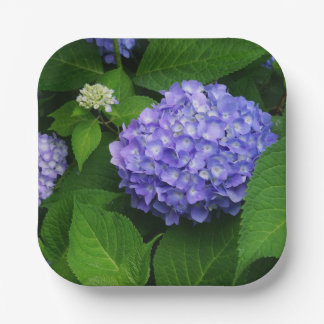Assiettes En Carton Lavande Hydrangea