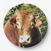 ASSIETTES EN CARTON LE BULL (Devant)