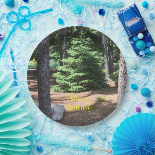 Assiettes En Carton Le Calme Dans La Forêt (Fête)