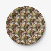 Assiettes En Carton Le champignon Morel dans la nature (Devant)