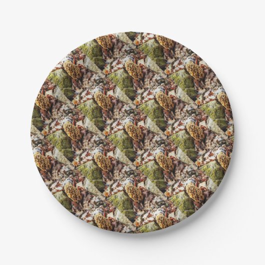 Assiettes En Carton Le champignon Morel dans la nature (Devant)