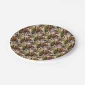 Assiettes En Carton Le champignon Morel dans la nature (Angle)