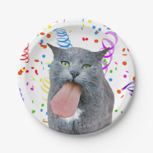 Assiettes En Carton Le Chat De Fête A Ta Langue ?