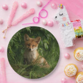 Assiettes En Carton Le chou renard dans une forêt verte (Fête)