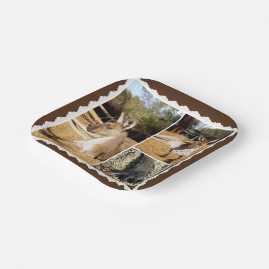 Assiettes En Carton Le Collage D'Image Kangaroo, Plaques De Papier (Angulaire)