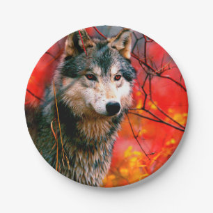 Assiettes En Carton Le loup à la recherche de feuilles dans une forê