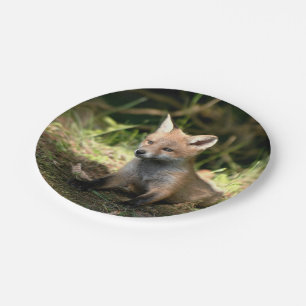 Assiettes En Carton Le Renard rouge de Little Cub