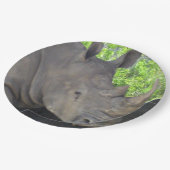 Assiettes En Carton Le visage de Rhino (Angle)