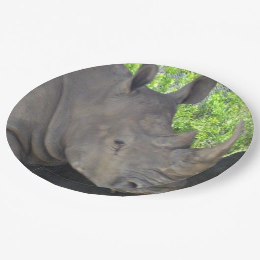 Assiettes En Carton Le visage de Rhino (Angle)