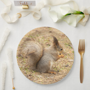 Assiettes En Carton L'écureuil mignon mange une photo de noix