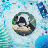 Assiettes En Carton Lémur (Fête)