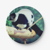 Assiettes En Carton Lémur (Devant)