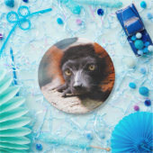 Assiettes En Carton Lémur rouge de repos de Ruffed (Fête)