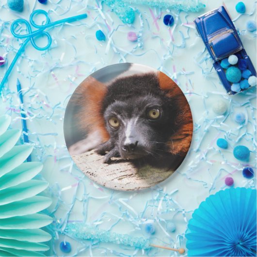 Assiettes En Carton Lémur rouge de repos de Ruffed (Fête)