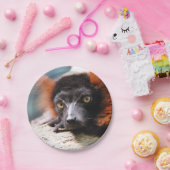 Assiettes En Carton Lémur rouge de repos de Ruffed (Fête)