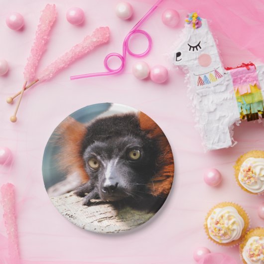 Assiettes En Carton Lémur rouge de repos de Ruffed (Fête)