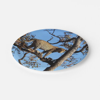 Assiettes En Carton Leopard dans un arbre en Afrique