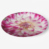 Assiettes En Carton Les Beaux (Angle)