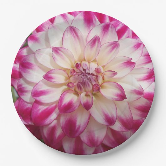 Assiettes En Carton Les Beaux (Devant)