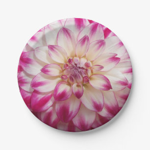 Assiettes En Carton Les Beaux