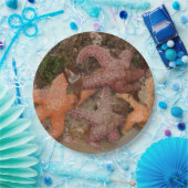 Assiettes En Carton Les étoiles de mer/étoiles de mer dans le canon (Fête)