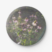 Assiettes En Carton Les fleurs d'échinacée au soleil (Devant)