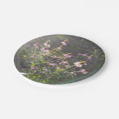 Assiettes En Carton Les fleurs d'échinacée au soleil (Angle)