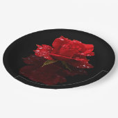 ASSIETTES EN CARTON LES GOUTTES DE PLUIE SUR SE SONT LEVÉES (Angle)