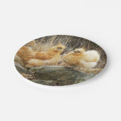 Assiettes En Carton Les poulets de Silkie (Angle)