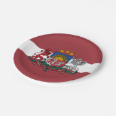 Assiettes En Carton Lettonie, Drapeau letton, anniversaire /sport (Angle)