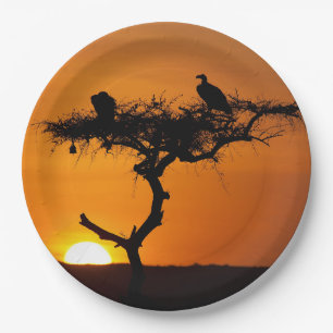 Assiettes En Carton Lever de soleil au Masai Mara, Kenya