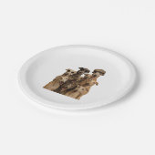 Assiettes En Carton Lévrier (Angle)