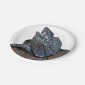 Assiettes En Carton lézard de Frilled-cou (Angle)