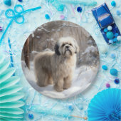 Assiettes En Carton Lhassa Apso Laisse Neige Noël (Fête)