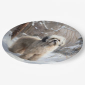 Assiettes En Carton Lhassa Apso Laisse Neige Noël (Angle)