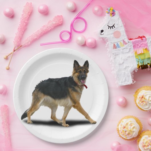 ASSIETTES EN CARTON LIBBY (Fête)