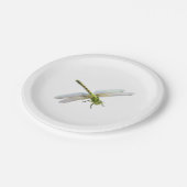 Assiettes En Carton libellule (Angle)