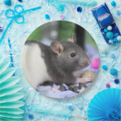 Assiettes En Carton Lil rat (Fête)