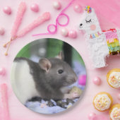 Assiettes En Carton Lil rat (Fête)